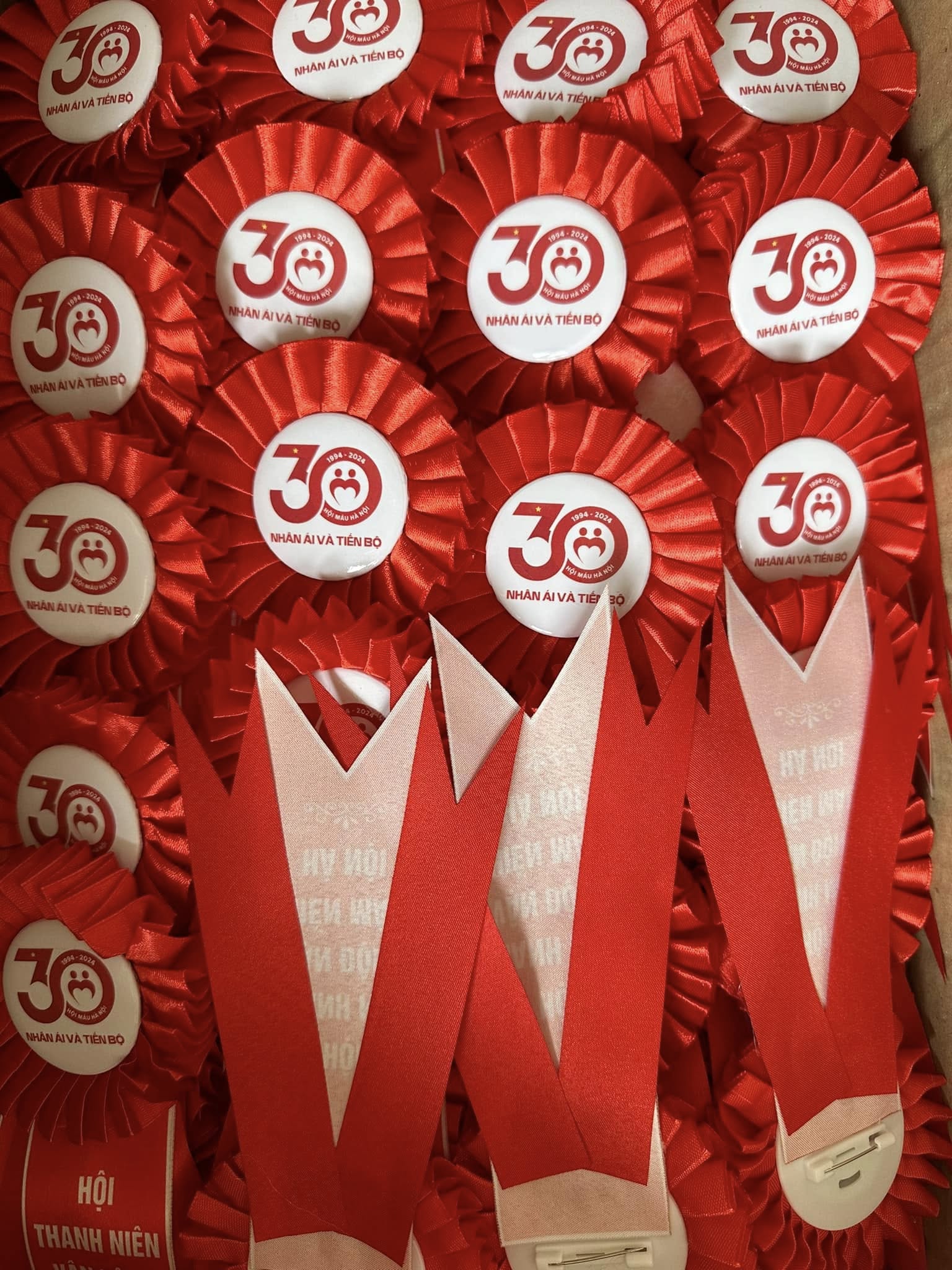 Hoa cài áo đại biểu gắn logo