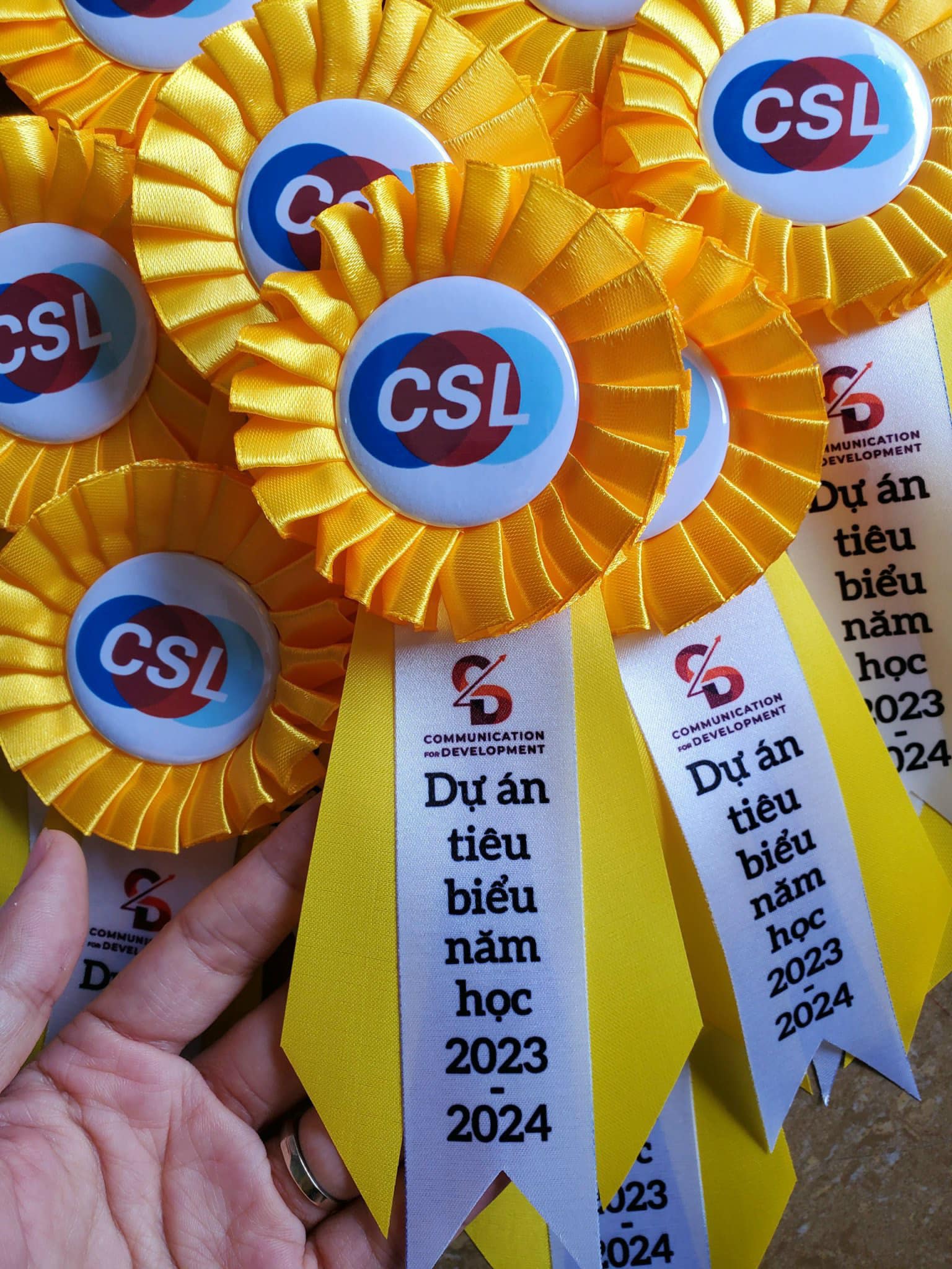 Hoa cài áo đại biểu giá rẻ