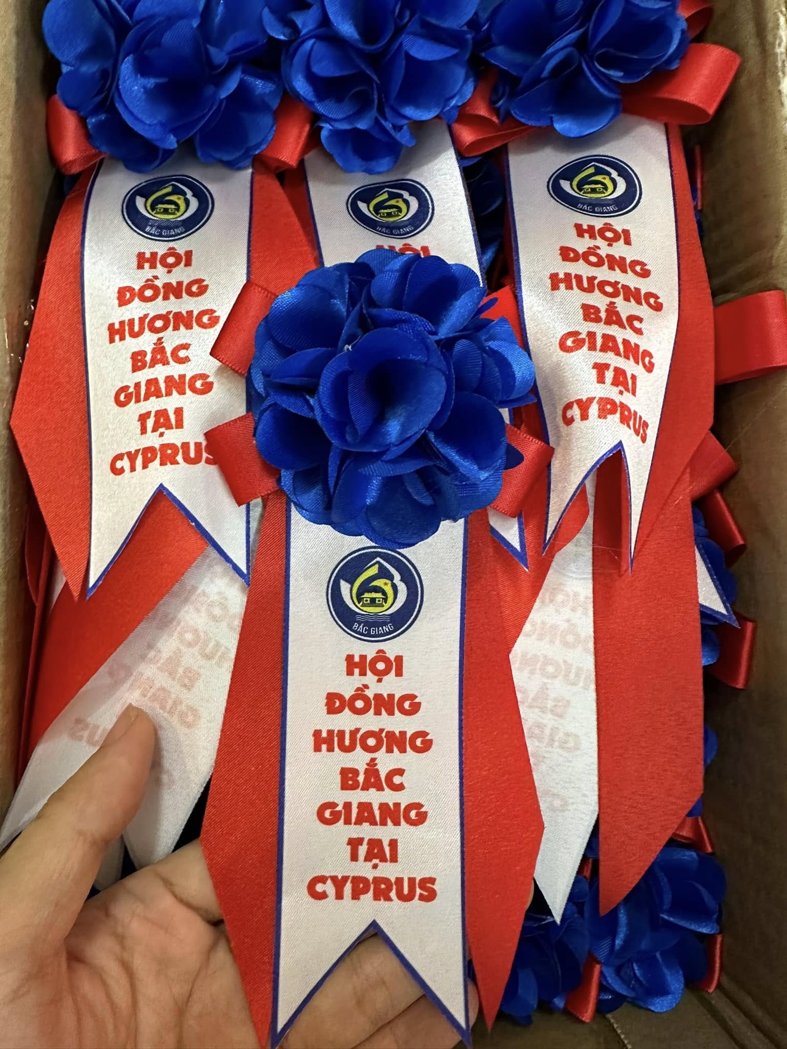 Hoa hồng cài áo ý nghĩa