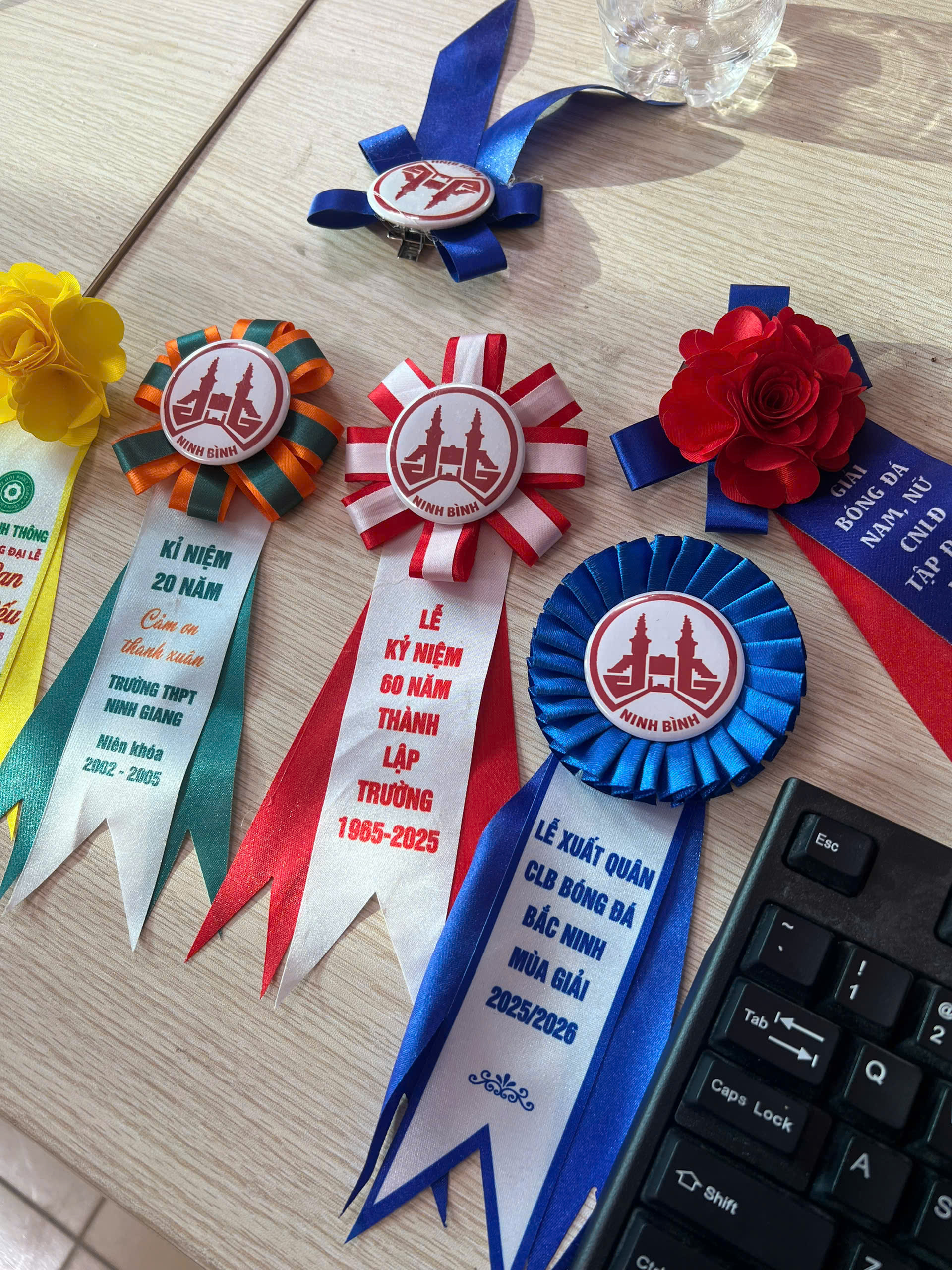 In logo trên hoa cài áo đại biểu