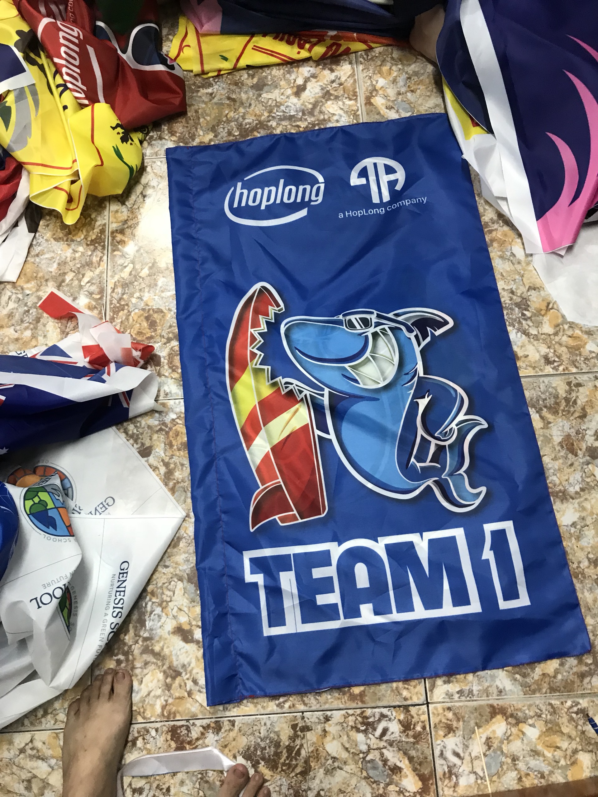 In cờ theo yêu cầu Hồ Chí Minh