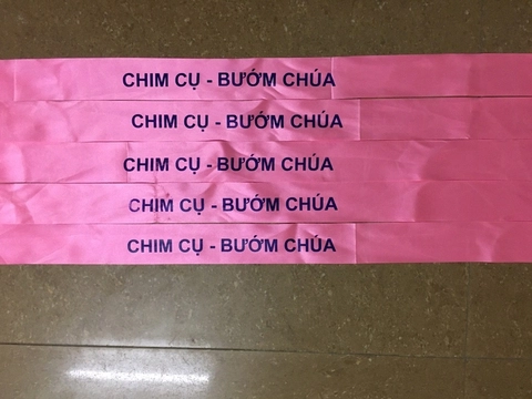 Băng rôn đeo đầu sự kiện khai trương