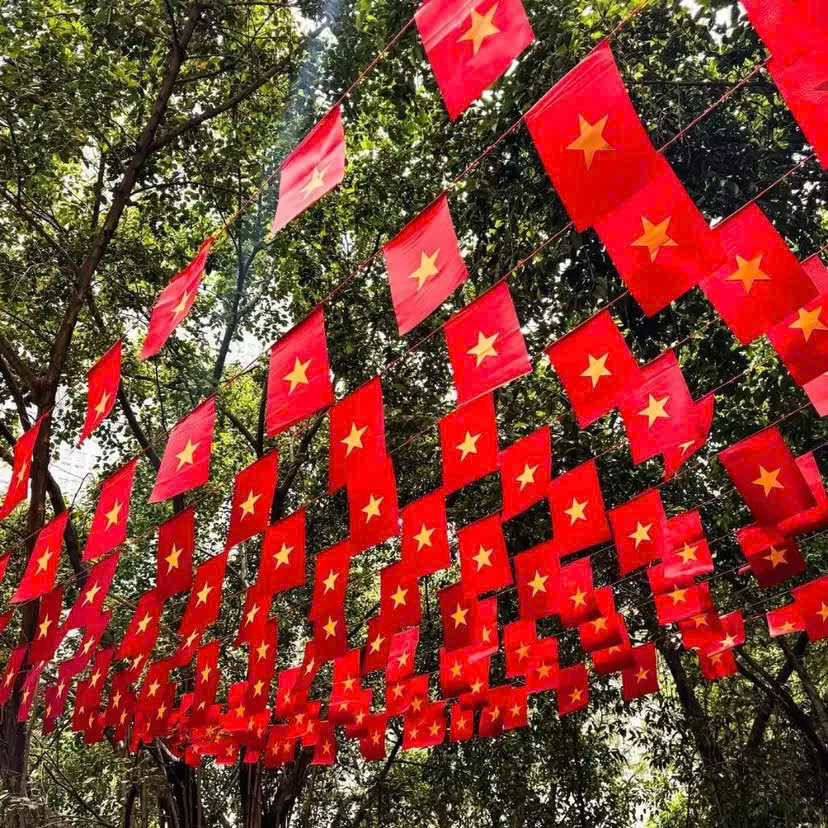 Cờ dây sao Đảng treo lễ hội – Xưởng in cờ HOÀNG GIA