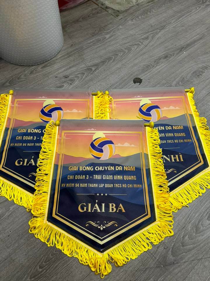 Cờ lưu niệm kết nghĩa